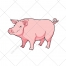 Pig vector - color illustration
