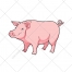 Pig vector - color illustration