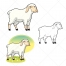 Sheep vector, sheep illustration, sheep vector illustration, cartoon vector, farm animal vector, livestock vector