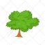 Tree vector, trees, vegetation