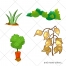 Plant vector, plants, vegetalble, bush, grass vector 