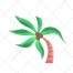Palm vector, palm tree, coconut palm