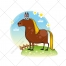 Horse vector, color illustration 