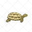 Turtle vector, exotic animal vector