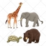 Wild animals, animal vector, color, vector illustration