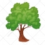 Tree vector, trees, branch vector, vegetation, color illustration