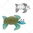 Turtle vector, water turtle, cartoon, animal