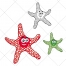Starfish vector, sea animal, cartoon