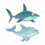 Fish vector, color illustration, cartoon, fishes, dolphin, shark
