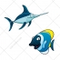 Fish vector, shark vector, sea animal