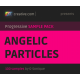 Angelic particles - liquid funk, deep house, progressive samples