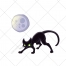 Moon vector, cat vector, black cat, dark, scary, illustration