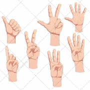 human hand, poses, hands, sign, symbol, counting, thumb up, thumb down, download, buy