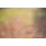 blurred texture download, high resolution texture, download