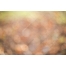 blurred texture download, high resolution texture, bokeh, download