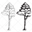 tree vector silhouette, drawing tree vectors, pine vector