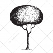 sketch tree vector pack, drawing tree vectors, sketch maple vector