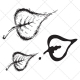 sketch leaf vector pack, linden leaf vector, leafs vector art