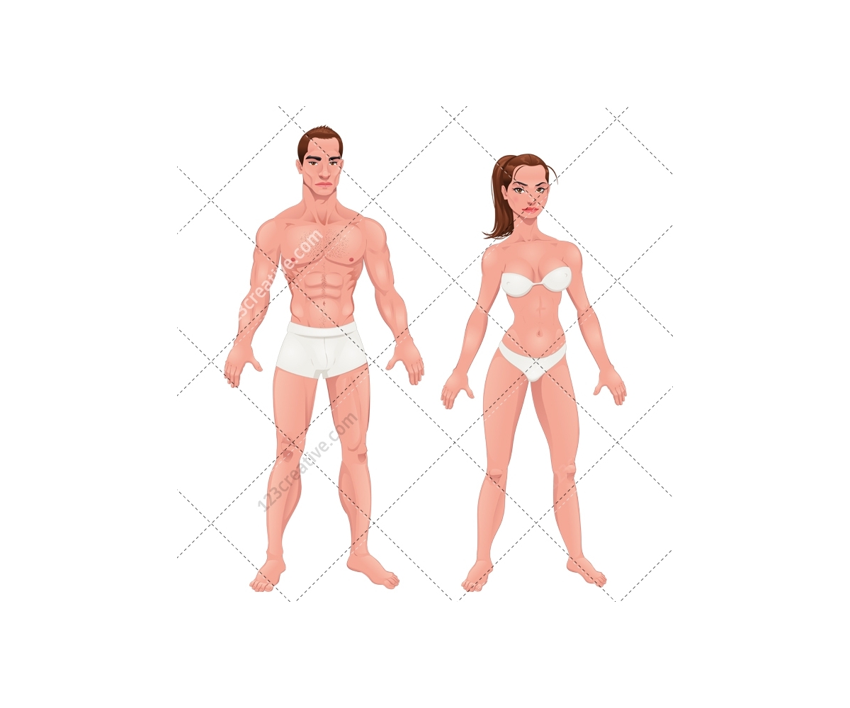 People vectors - body vector, woman, man, anatomy (head, torso, arm, hand,  leg, foot) fitness, underwear, standing figure