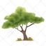 tree vector, download vector, buy royalty free vector