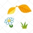 Landscape illustration, leaf vector, flower, flowers, leafs, grass