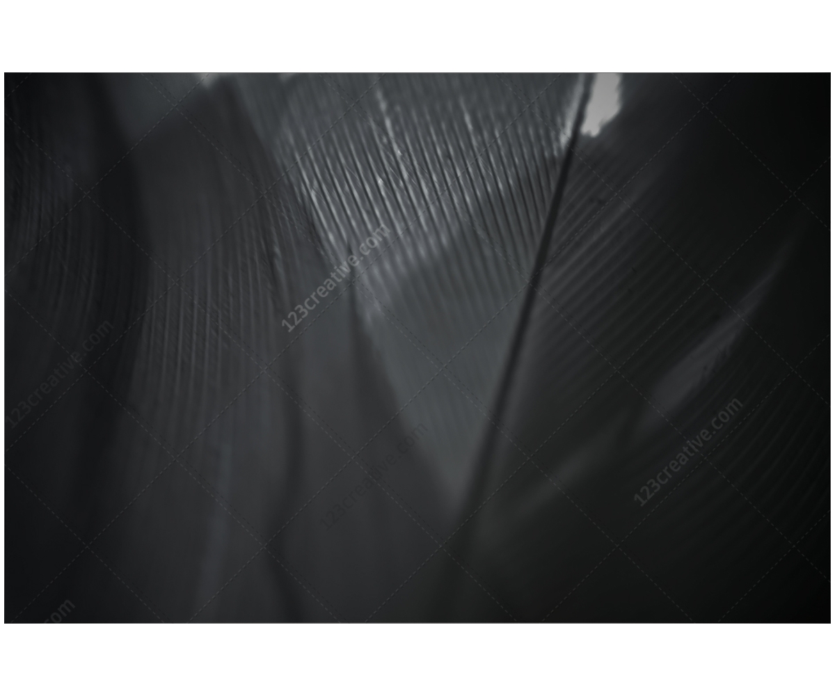 Abstract light backgrounds pack abstract textures, light