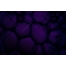 dark purple background, purple bubbles, oil bubbles, purple background, dark catalog texture, backgrounds for graphic design