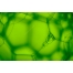abstract textures, green background, high resolution textures, buy texture pack, bubbles textures, soap bubble backgrounds
