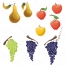 fruit vector, grape vector, grapes vector, apple vector, apples vector, pear vector, pears vector, buy vector pack