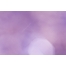 light purple background, light violet backfround, light catalog background texture, violet texture, presentation background