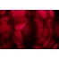 red texture, red background, red bubbles, red abstract background, red background texture, red texture buy