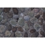 Stone textures pack 1