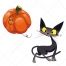 pumpkin vector, black cat vector