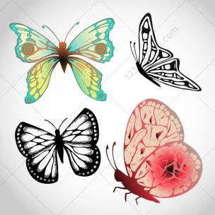 Butterfly vector pack