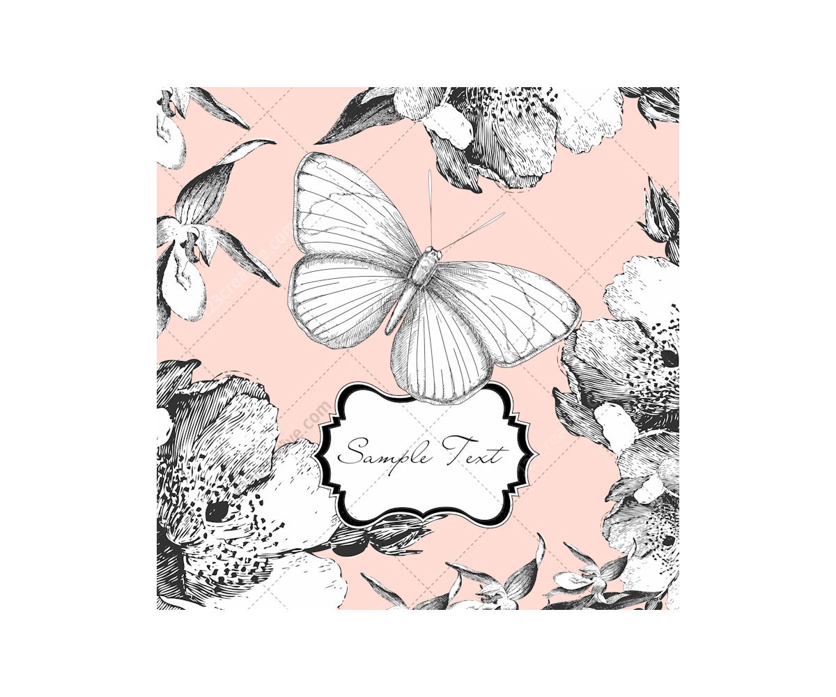 Download Vintage butterfly vector illustrations - drawing ...