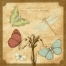 vintage vector card template with butterflies
