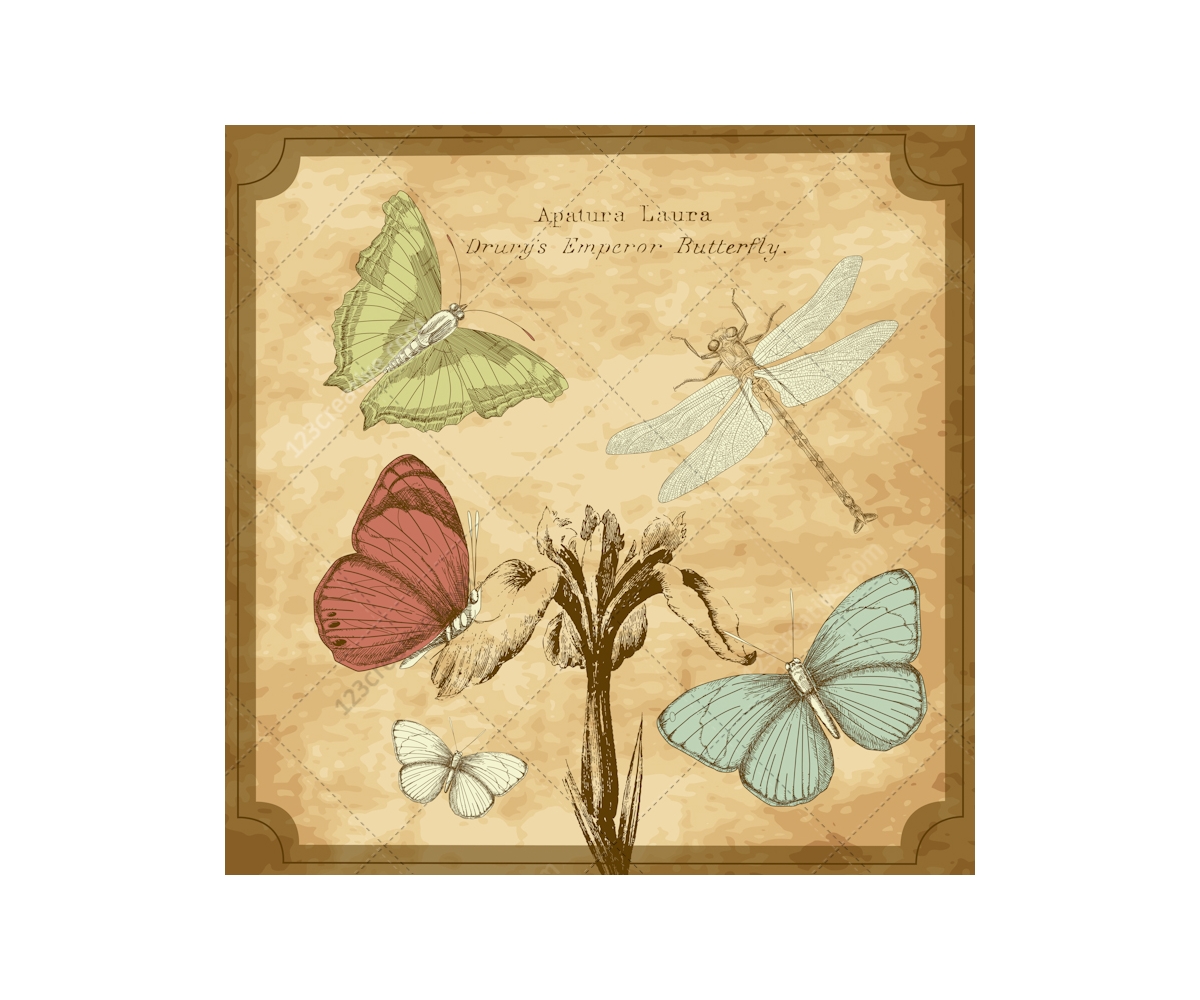 Free Free Vintage Butterfly Svg 503 SVG PNG EPS DXF File