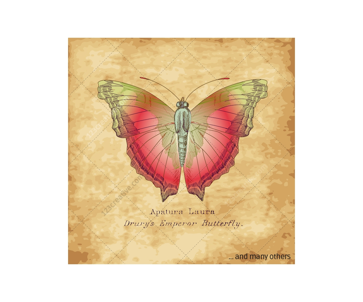 Free Free 317 Vintage Butterfly Svg SVG PNG EPS DXF File