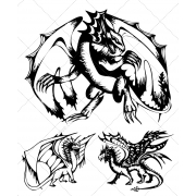 sketch dragon vectors, realistic dragon vectors