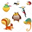 funny animal vectors, owl, woodpecker, squirrel, chameleon, cute animal vectors
