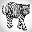 Sketch Tiger vectors