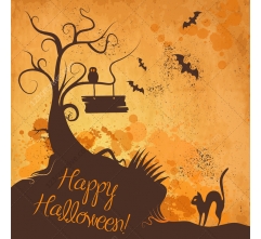 11 Halloween vector illustrations and cobweb vectors