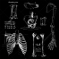 skeleton anatomy vector, human skeleton anatomy vector, scary bone vectors, spooky bones