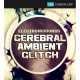 Glitch hop samples and loops, Cerebral Ambient Glitch Sample pack 