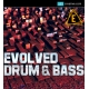Drum and Bass Sample pack, download Drum & Bass samples, royalty free DnB loops