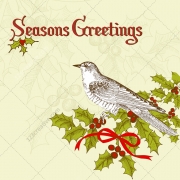Seasons Greetings with dove and holly vector illustration