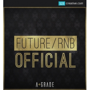 OVO Future RnB Official - presets for Massive