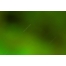 green abstract background, abstract blur textures