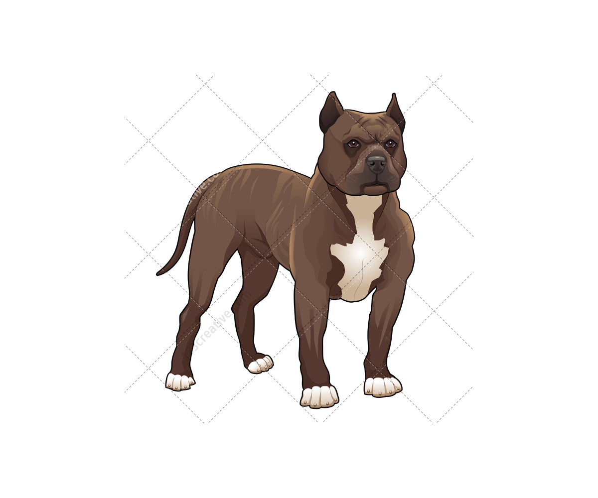 Realistic dog vector pack - animal vector graphics ...