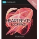 beat loops free, beat samples free, beat samples download